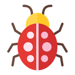 Beetle  Icon