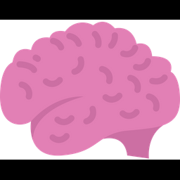 Brain  Icon