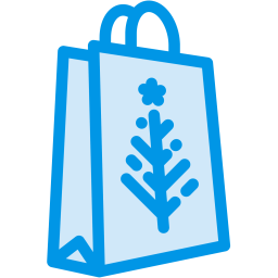 Bag  Icon