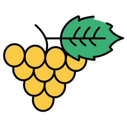 Grapes  Icon