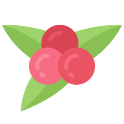 Berries  Icon