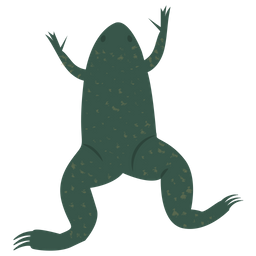 Frosch  Symbol