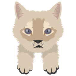 Cat  Icon