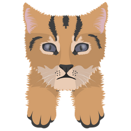 Cat  Icon