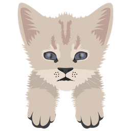 Cat  Icon