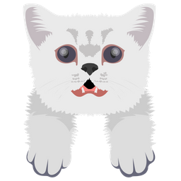 Cat  Icon