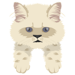 Cat  Icon