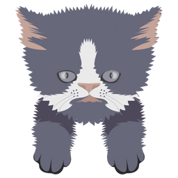 Cat  Icon