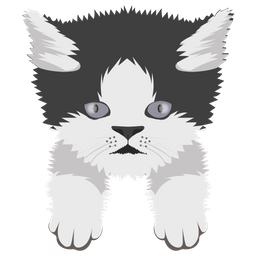 Cat  Icon