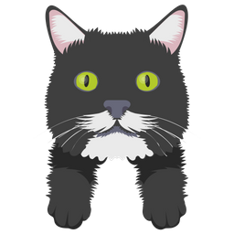 Cat  Icon