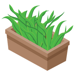 Aloe Vera  Icon