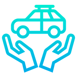 Car Caring  Icon