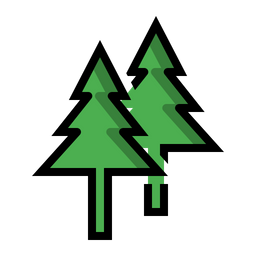 Pine Tree  Icon