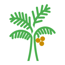 Palm Tree  Icon