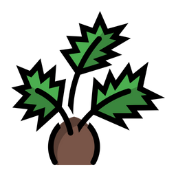 Palm  Icon