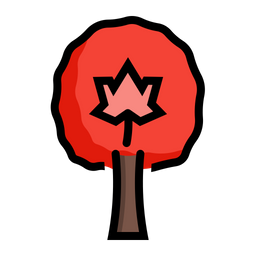 Maple Tree  Icon