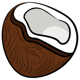 Coconut  Icon