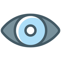 Eye  Icon