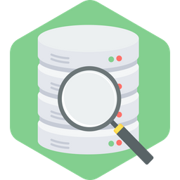 Data Search  Icon