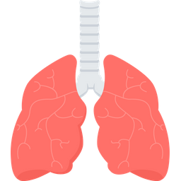 Lungs  Icon