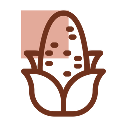 Corn  Icon