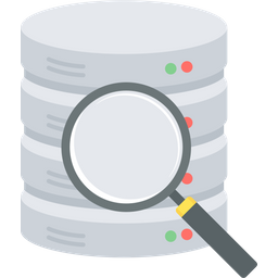 Data Search  Icon