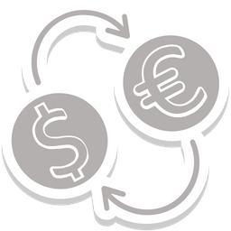 Currency Exchange  Icon