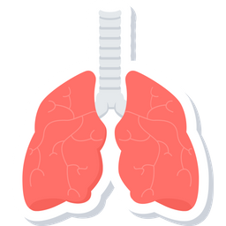 Lungs  Icon