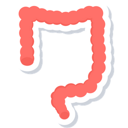 Intestine  Icon