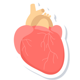 Heart  Icon