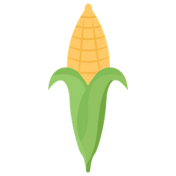 Corn  Icon