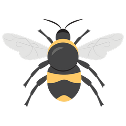 Bee  Icon