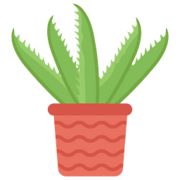 Aloe Vera  Icon