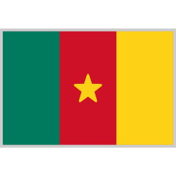 Cameroun  Icône