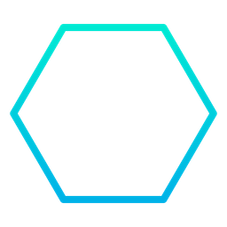 Hexagon  Icon