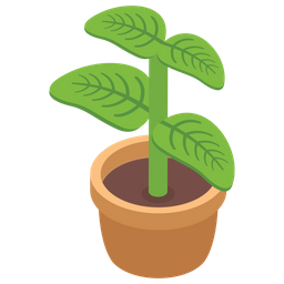 Planta decorativa  Icono