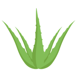 Aloe Vera Pflanze  Symbol