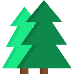 Christmas Tree  Icon