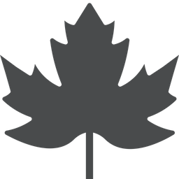 Maple Leaf  Icon