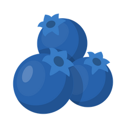 Blue Berries  Icon