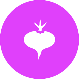 Beet  Icon