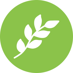 Branch  Icon