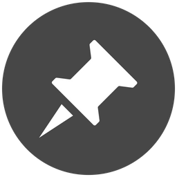 Pin  Icon