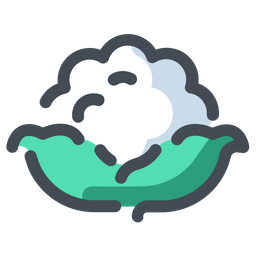 Cauliflower  Icon