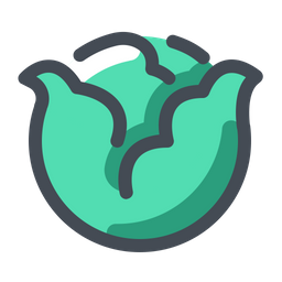 Cabbage  Icon