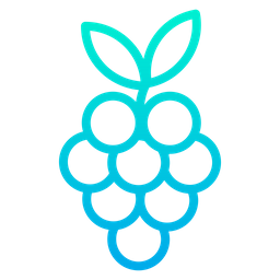 Grapes  Icon