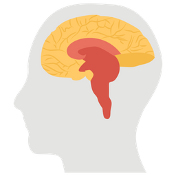 Brain  Icon