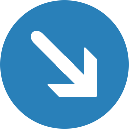 Bottom  Icon