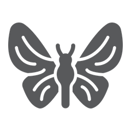 Butterfly  Icon