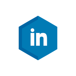 LinkedIn  Icône